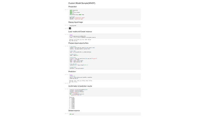 Example of AI Inference Execution